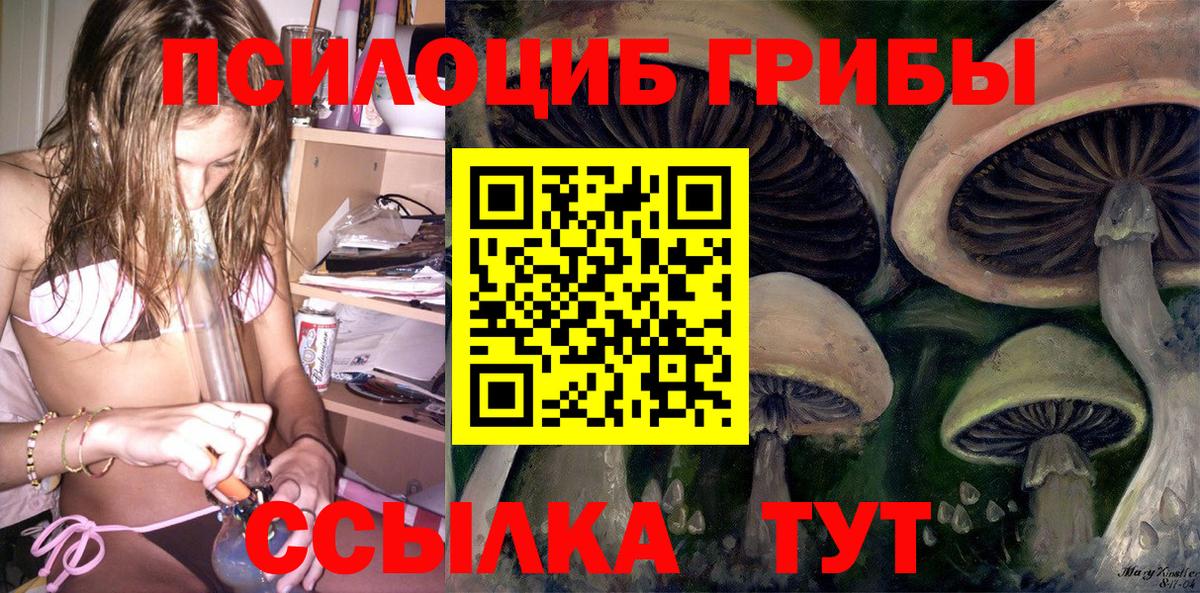Галлюциногенные грибы Cubensis Котлас