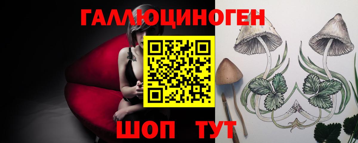 Галлюциногенные грибы мицелий  Вход с VPN  Котлас 